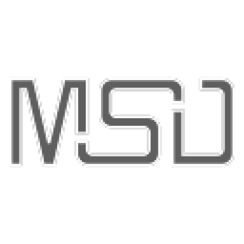 Msd stock options